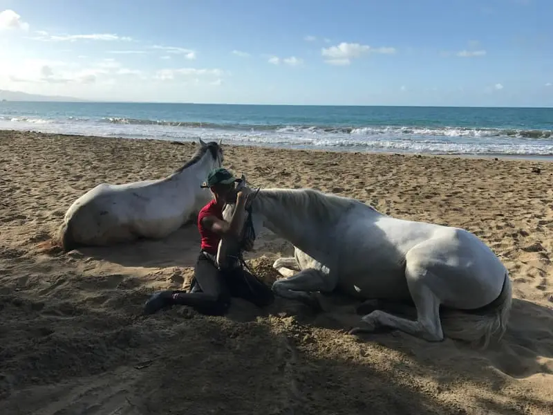 Oriana with two rescued horses resting on the beach in Cocles