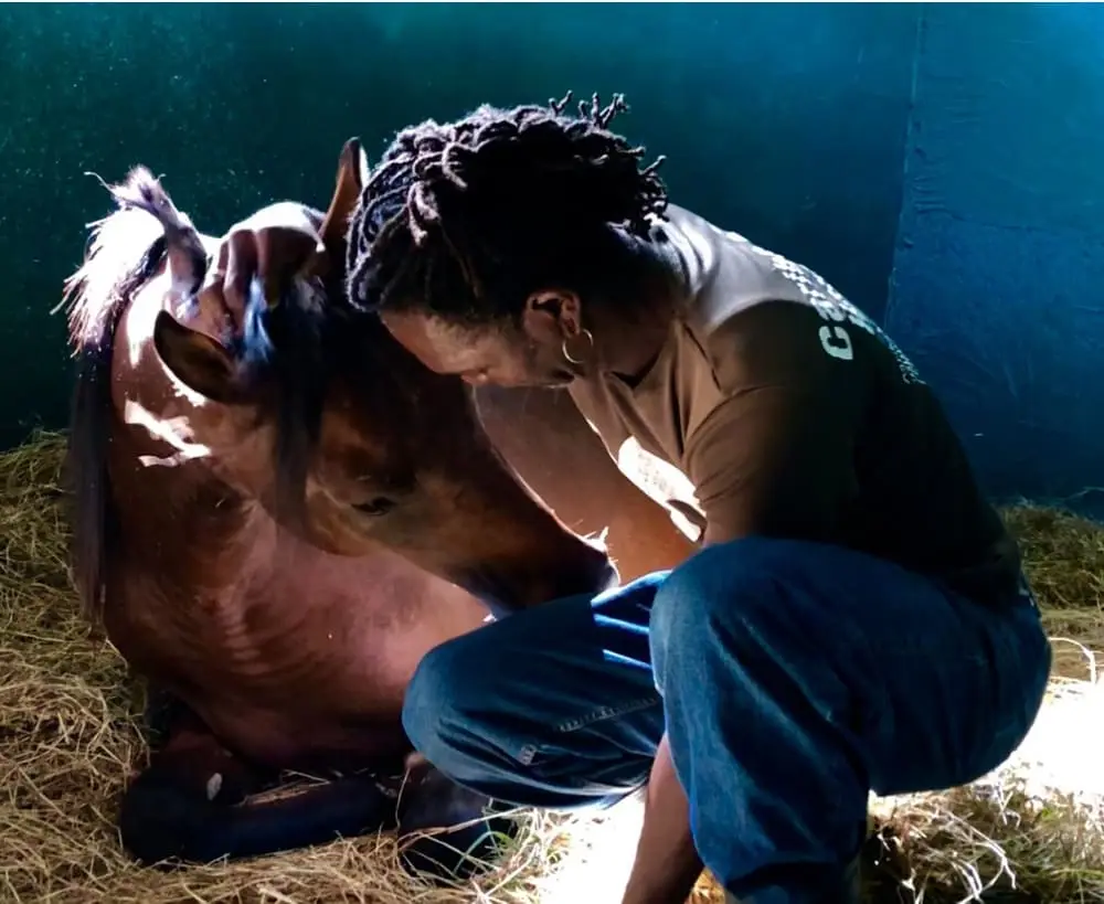 Jimmy with a rescued horse at Caribe Horse