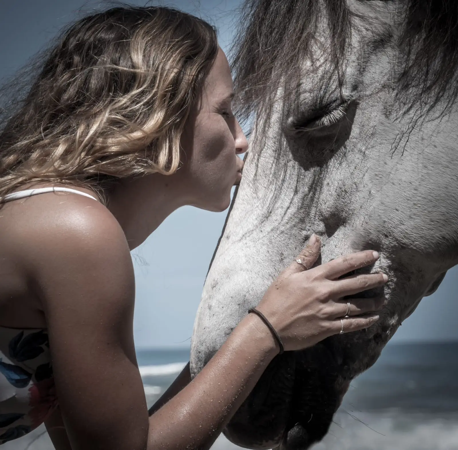 A woman kisses a grey horse on the nose by the sea