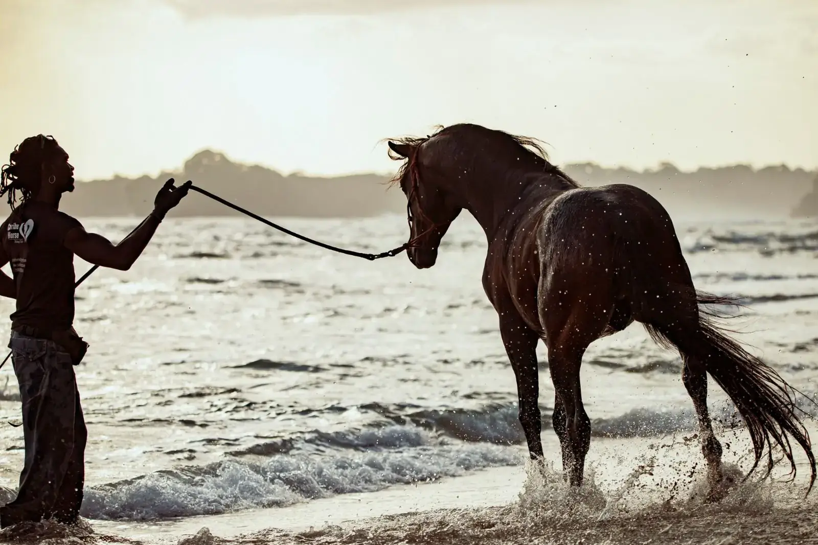 Groundwork on a long line with one of our horses in the surf at Cocles