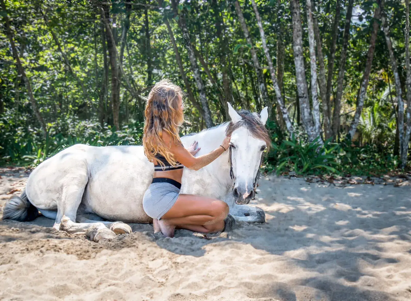 One of our rescued horses resting on the beach in Cocles