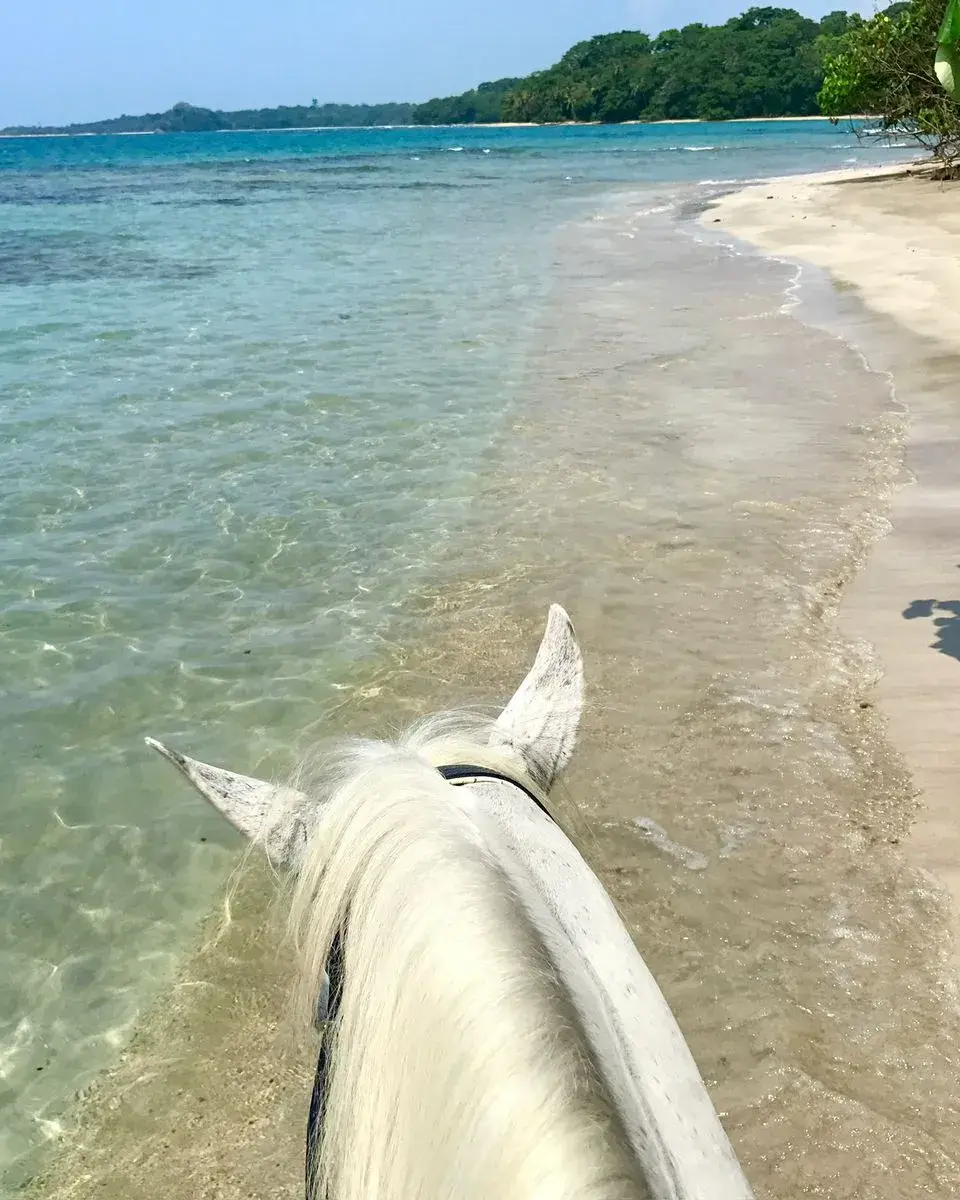 Short Beach & Jungle with Caribe Horse in Costa Rica