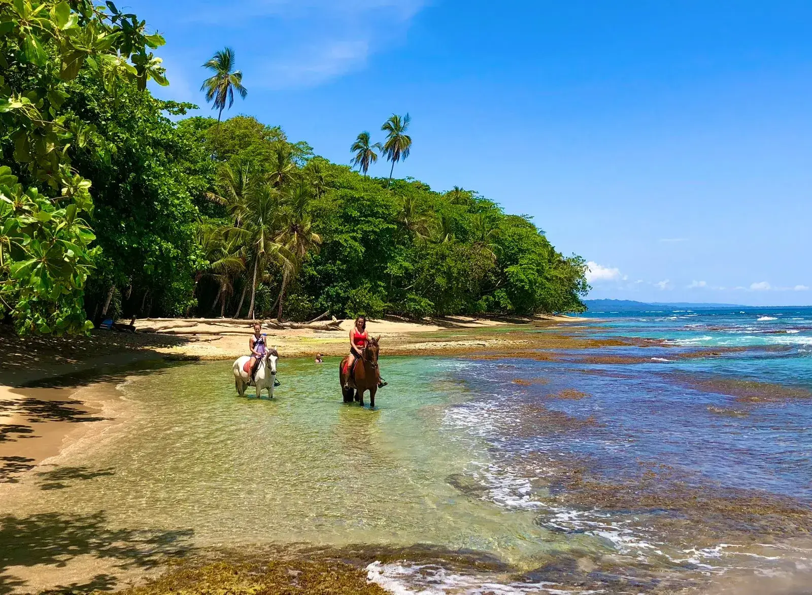Beach & Jungle with Caribe Horse in Costa Rica