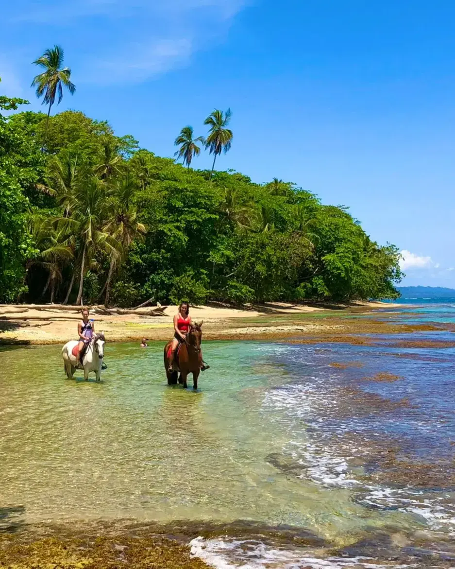 Beach & Jungle with Caribe Horse in Costa Rica