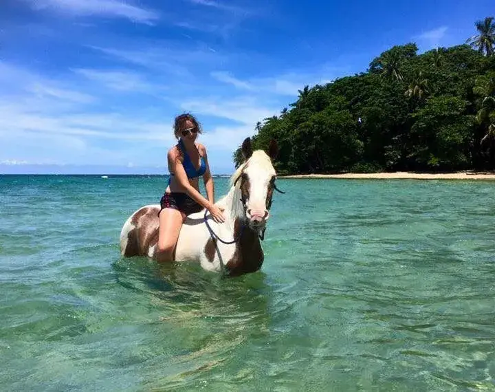 Hippocamp + Swim with Caribe Horse in Costa Rica