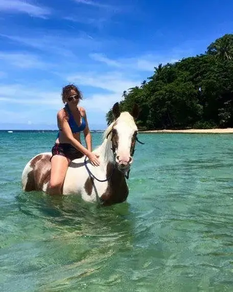 Hippocamp + Swim with Caribe Horse in Costa Rica