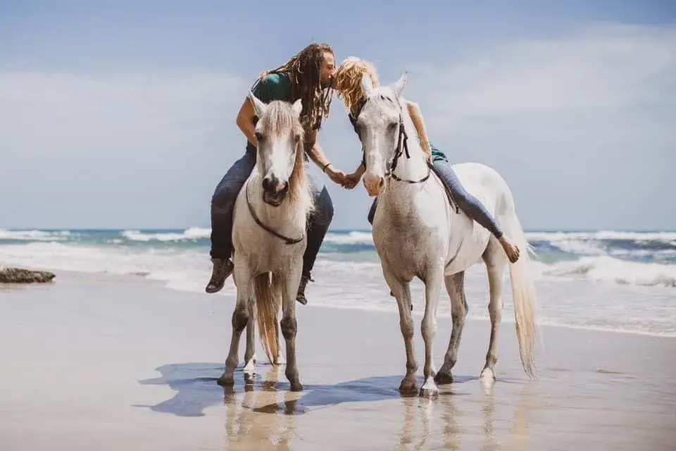 Honeymoon Rider Relax with Caribe Horse in Costa Rica