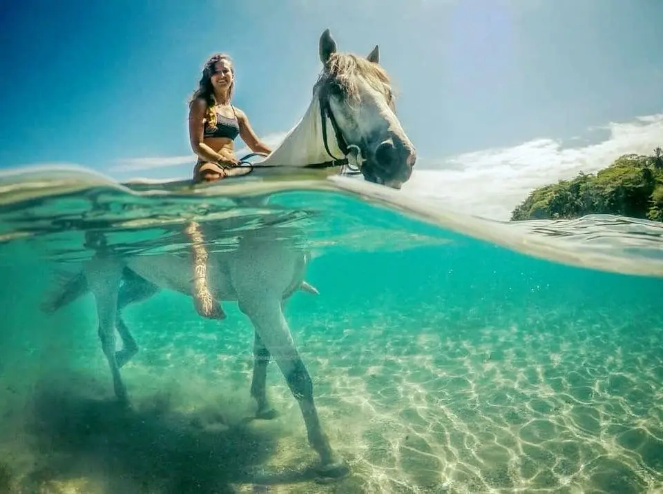 A rider on a grey horse wading through clear Caribbean water, seen half above and half below the surface