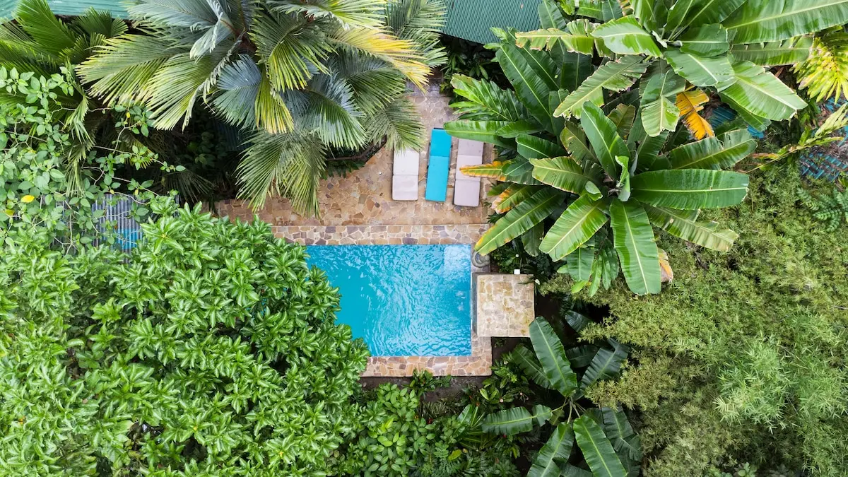 Aerial view of the pool set in the tropical garden