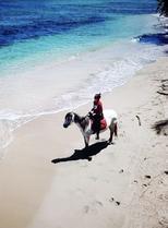 caballo caribe playa