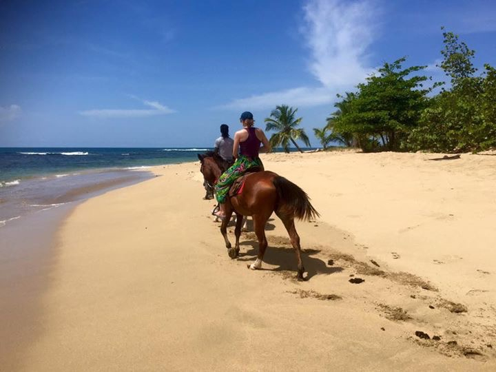 caballo caribe playa tour
